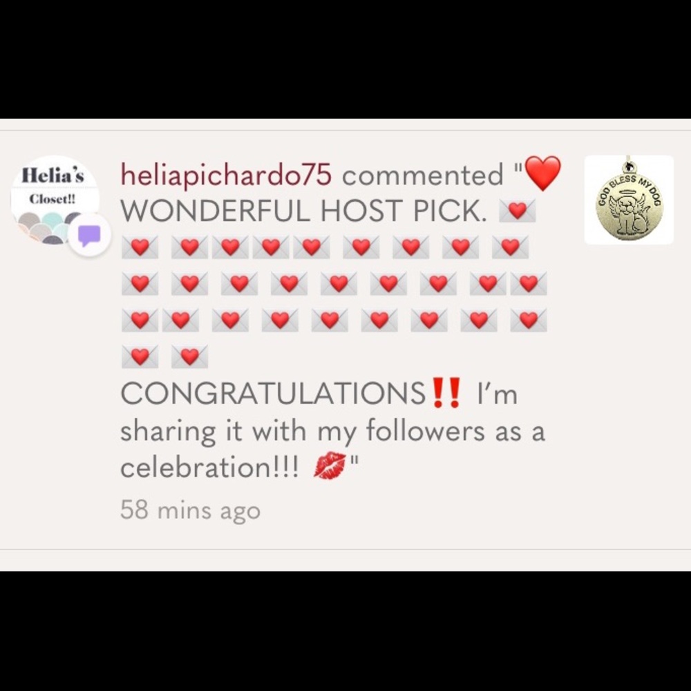 GOD  BLESS MY DOG ST FRANCIS CHARM - Picture 3 of 3